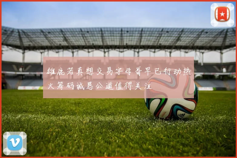 雄鹿若真想交易字母哥早已行动热火筹码诚恳公道值得关注