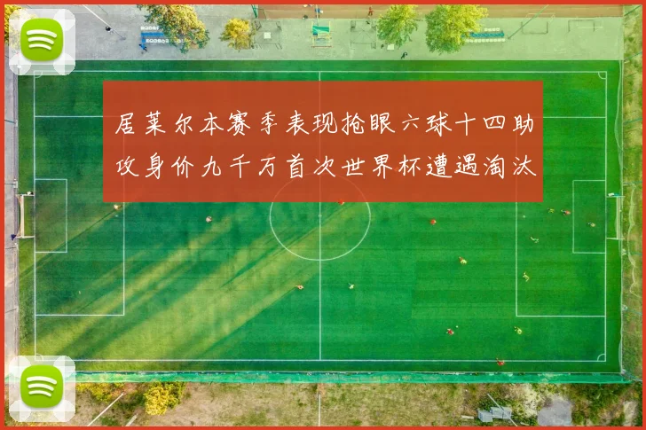 居莱尔本赛季表现抢眼六球十四助攻身价九千万首次世界杯遭遇淘汰